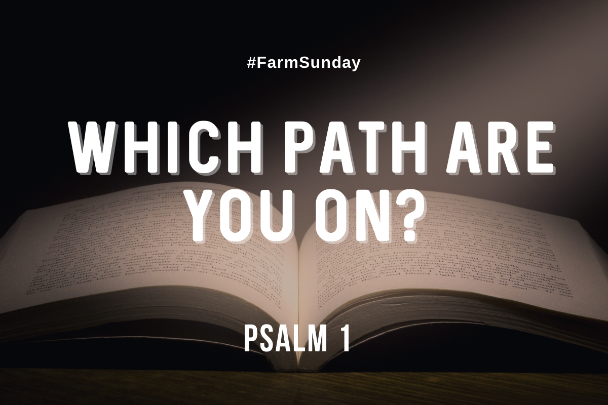 Farm Sunday Graphic with bible in background and the title of devotional Which Path are you on from Psalm 1