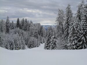 Winter weather mountain snow scene