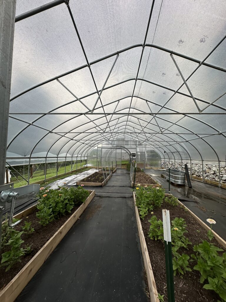 greenhouse