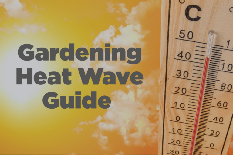 scorching sun and thermometer heat wave guide