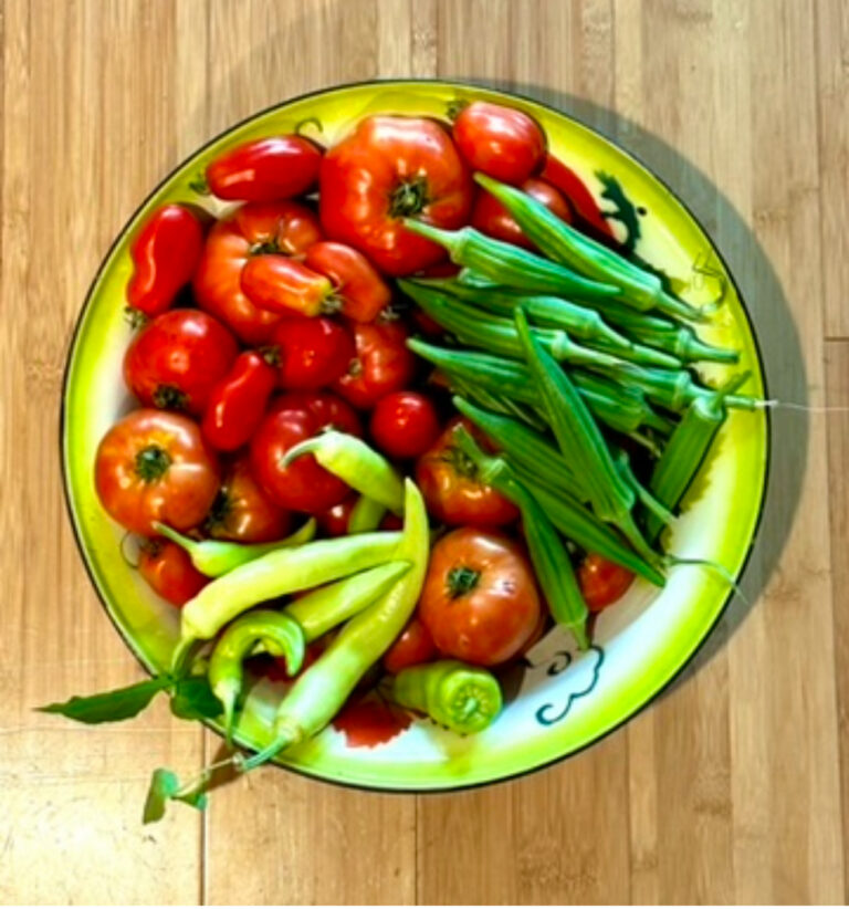 Platter of freshly picked tomatoes, green beans and peppers from the garden