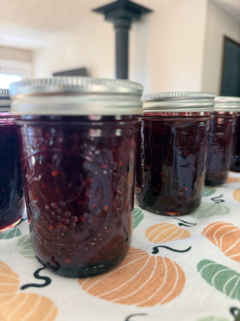Jars of blackberry jam cooling on a pumpkin print tablecloth
