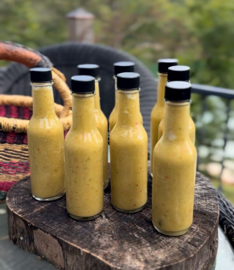Four bottles of BombDiggity Blaze hot pepper sauce lined up on a stump outdoors