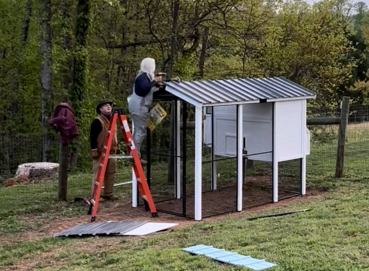 Two people assembling a walk in chicken coop on the lawn with a ladder alongside