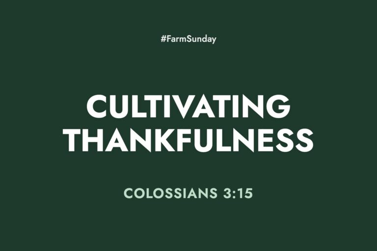 Farm Sunday devotional graphic reading Cultivating Thankfulness, with Colossians 3:15