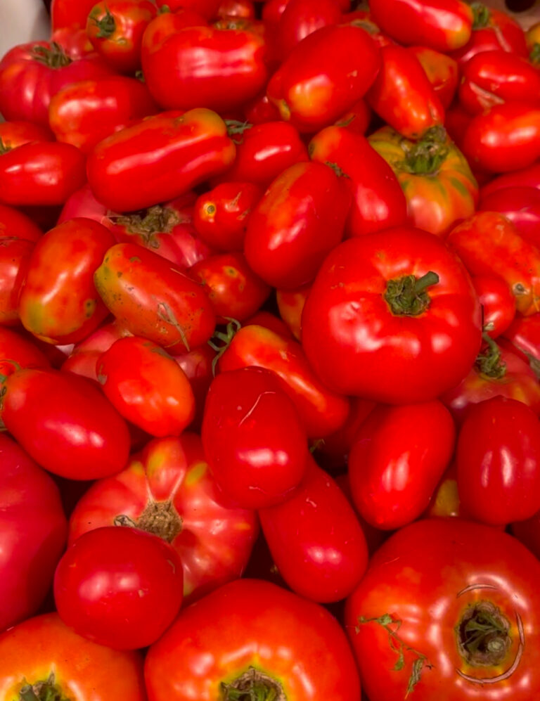 Harvest of ripe red paste tomatoes filling a bowl