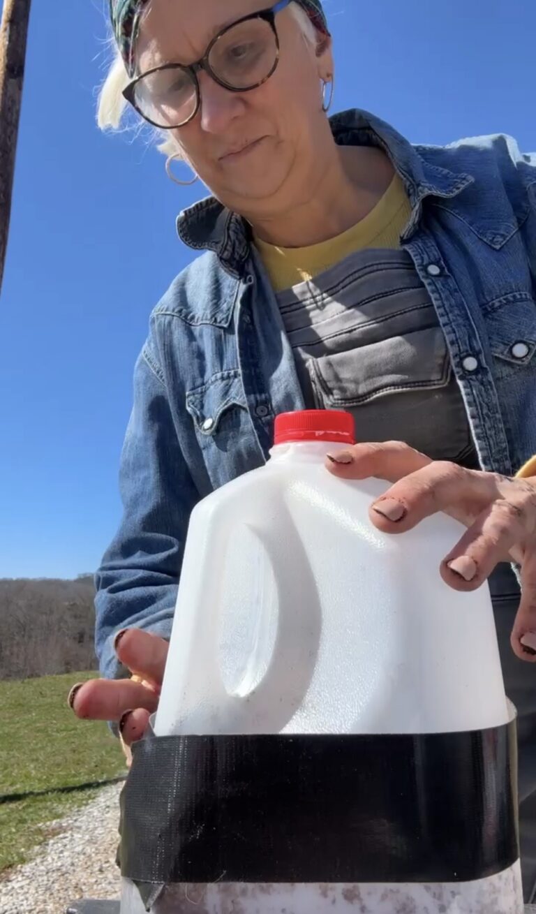 Jules Morris outdoors taping the cut seam of a gallon milk jug to make a mini greenhouse for starting seeds