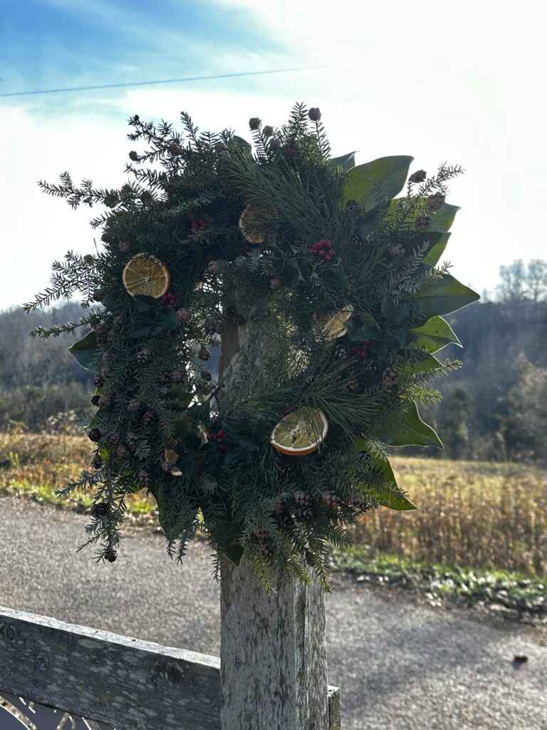 Southern evergreen Christmas wreath with dried orange slices hanging outdoors