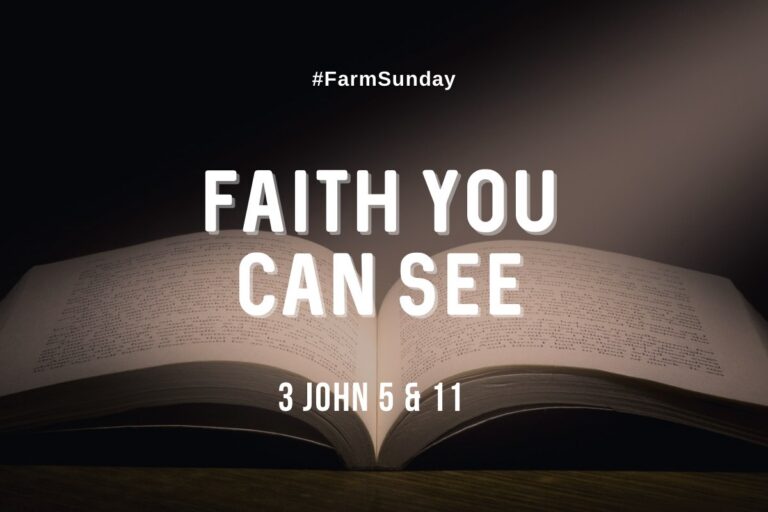 An open Bible lit from above with the words Faith You Can See and 3 John 5 and 11