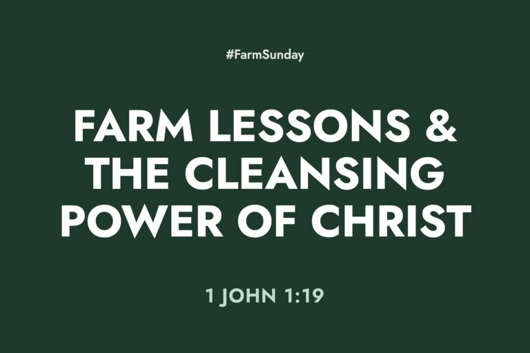 Farm Sunday devotional graphic reading Farm Lessons & The Cleansing Power of Christ, with 1 John 1:19