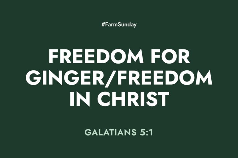 Farm Sunday devotional graphic reading Freedom for Ginger/Freedom in Christ, with Galatians 5:1