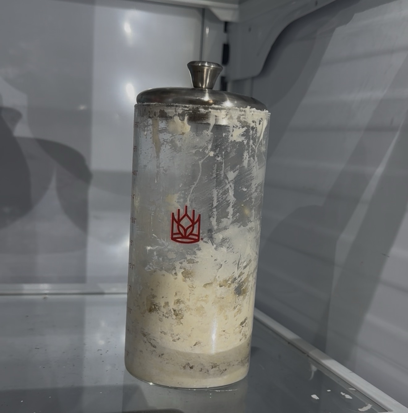 Sourdough starter jar in the refrigerator before a trip