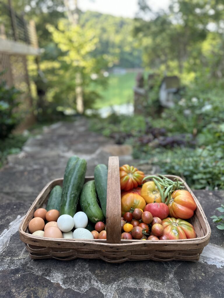 Antique 1940s oak gathering basket on a stone wall filled with heirloom tomatoes, cucumbers, green beans and farm fresh eggs, the garden and lake behind it