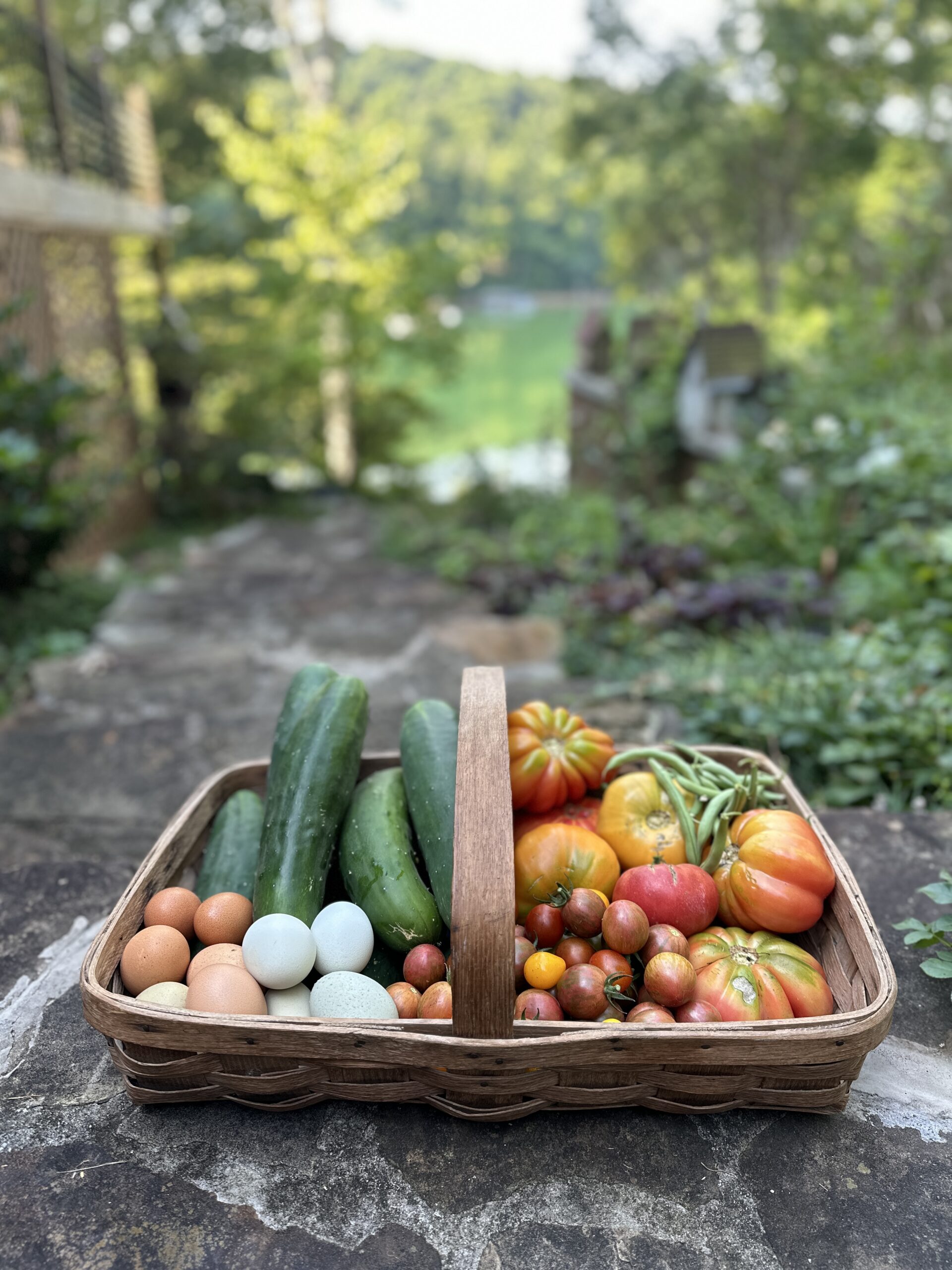 Antique 1940s oak gathering basket on a stone wall filled with heirloom tomatoes, cucumbers, green beans and farm fresh eggs, the garden and lake behind it
