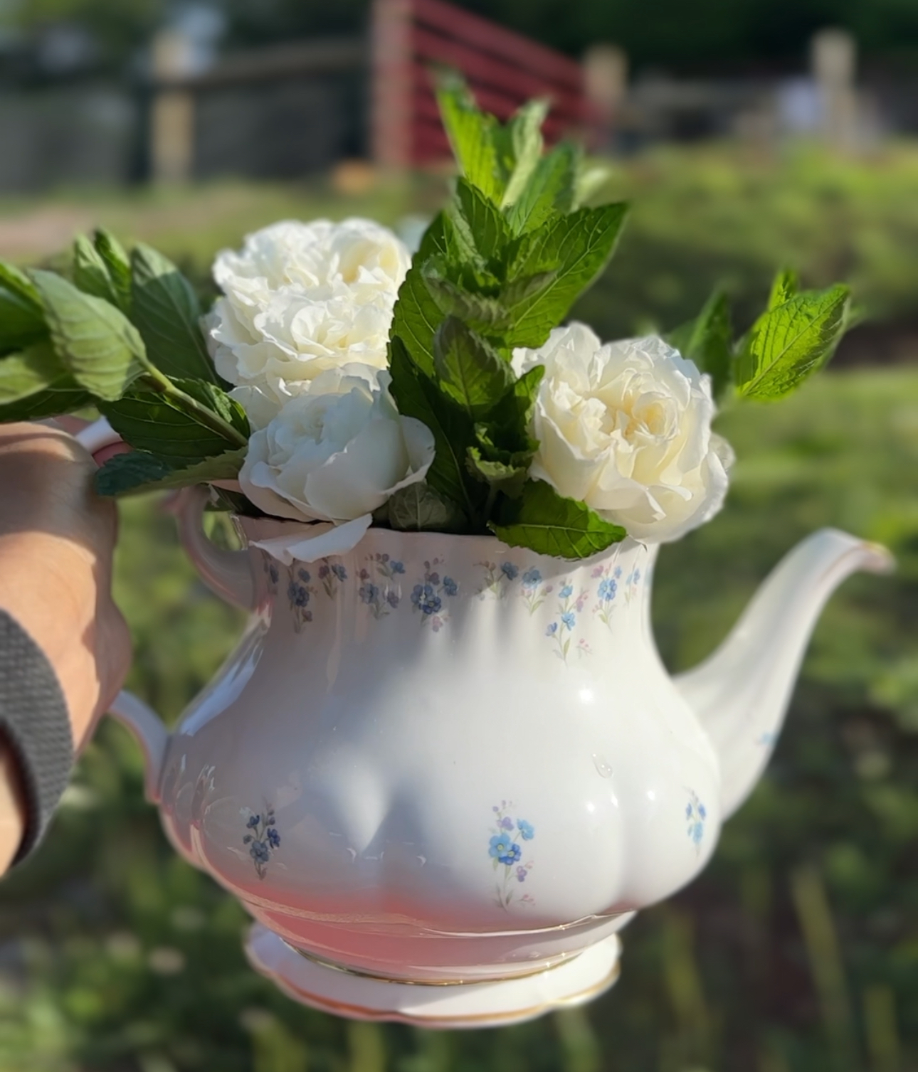 White roses arranged in an antique floral teapot