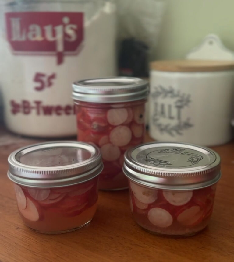 Two jars of quick pickled radishes on the counter beside a vintage Lays tin