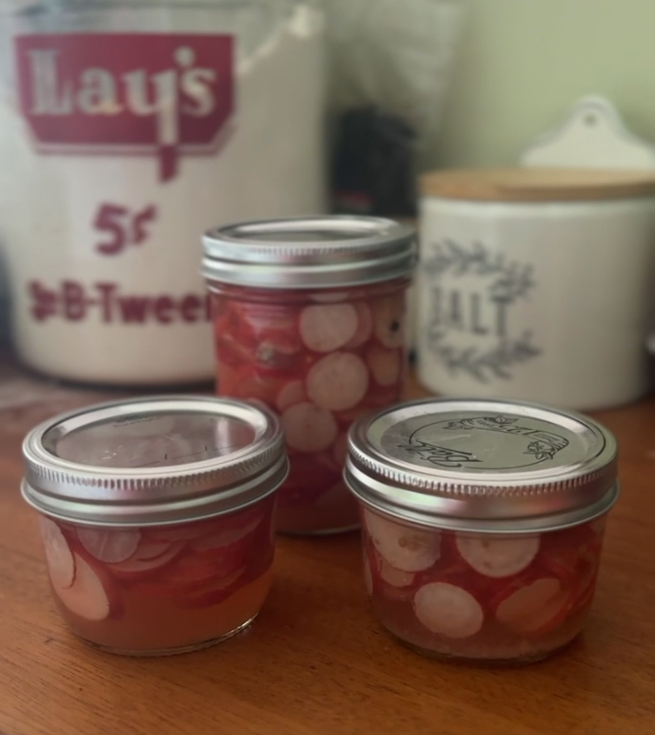 Two jars of quick pickled radishes on the counter beside a vintage Lays tin