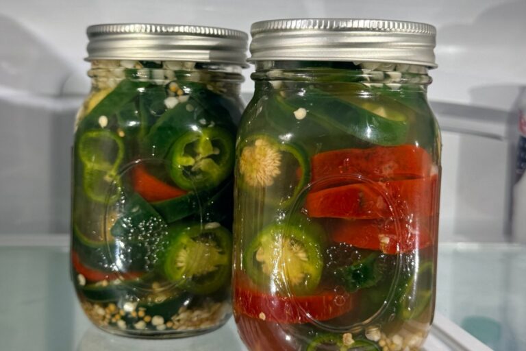 Two pint jars of refrigerator pickled jalapeños with red pepper strips, garlic and mustard seed