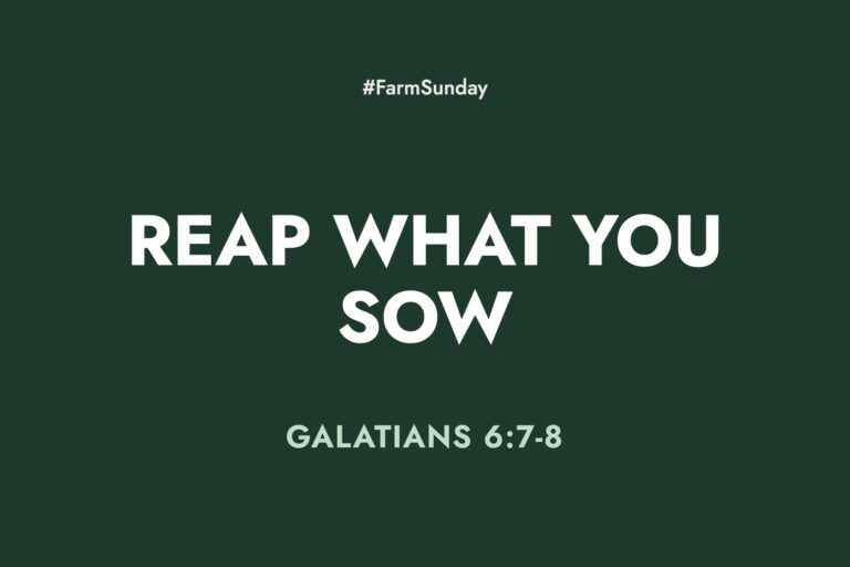 Farm Sunday devotional graphic reading Reap What You Sow, with Galatians 6:7-8