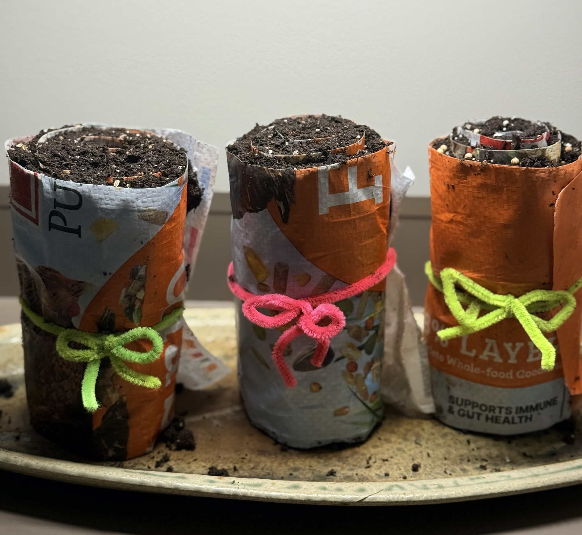 Newspaper seed pots filled with soil and tied with colored string