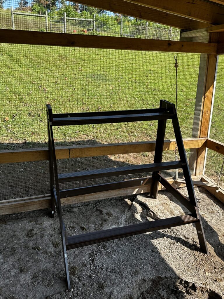 New wooden perch installed inside the chicken coop looking out to the green run
