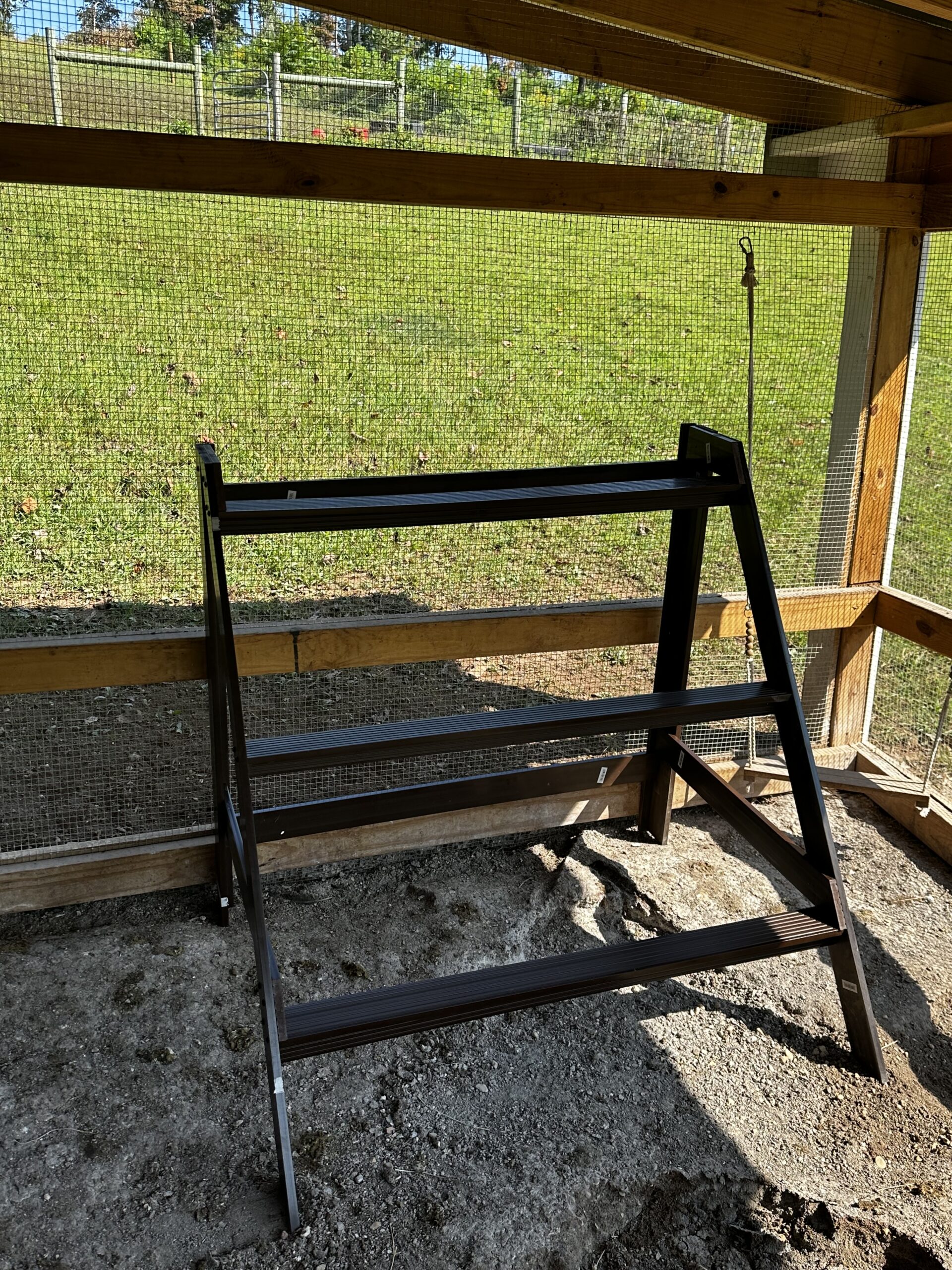 New wooden perch installed inside the chicken coop looking out to the green run