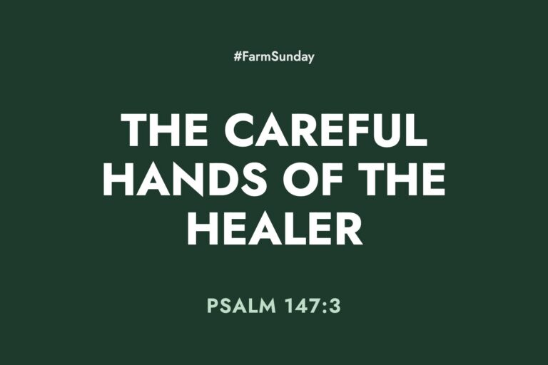 Farm Sunday devotional graphic reading The Careful Hands of the Healer, with Psalm 147:3