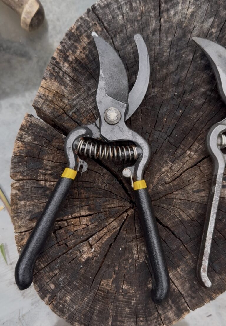 Pair of bypass pruners resting on a cut log