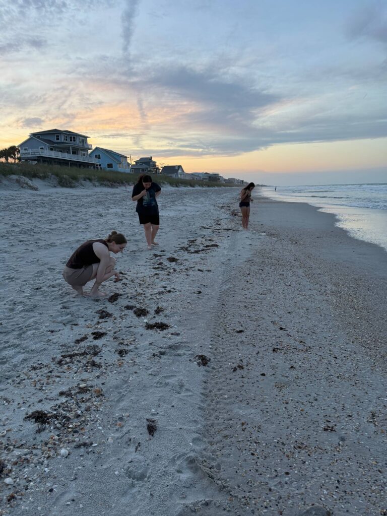 Family walking on the beach at dusk in St. Augustine, Florida