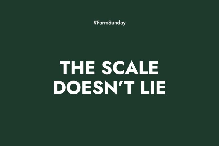 Farm Sunday devotional graphic reading The Scale Doesn’t Lie