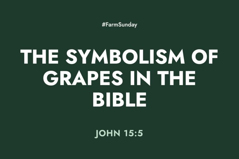 Farm Sunday devotional graphic reading The Symbolism of Grapes in the Bible, with John 15:5