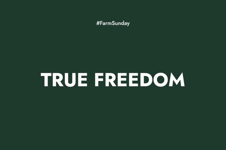 Farm Sunday devotional graphic reading True Freedom