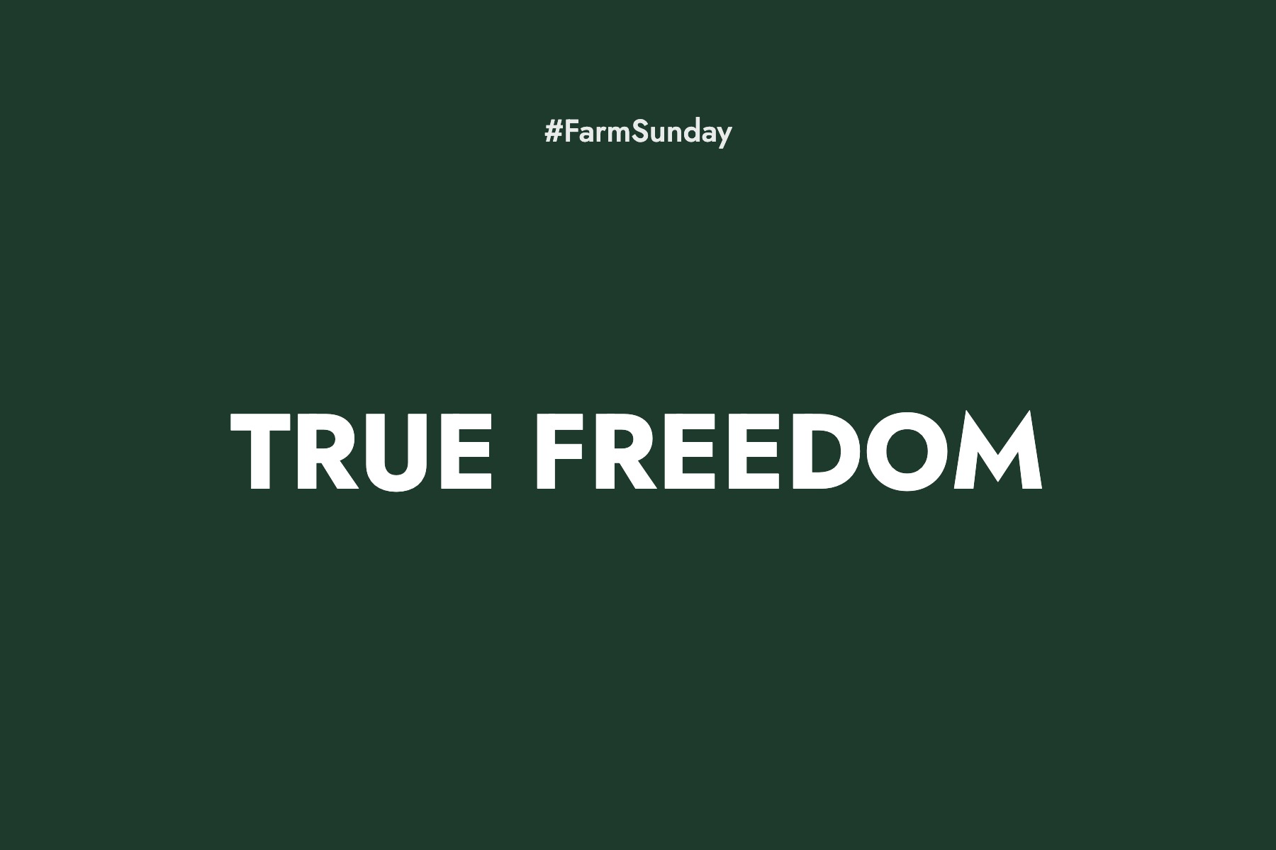 Farm Sunday devotional graphic reading True Freedom