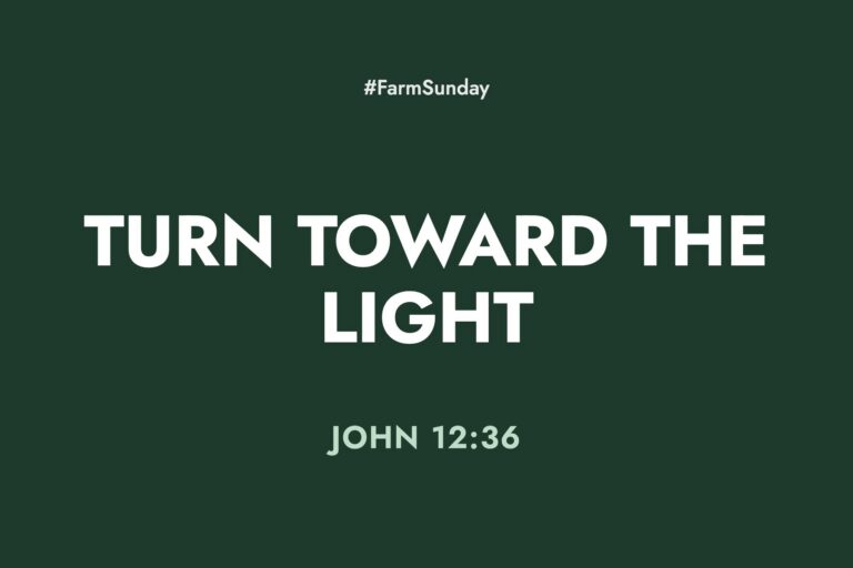 Farm Sunday devotional graphic reading Turn Toward the Light, with John 12:36