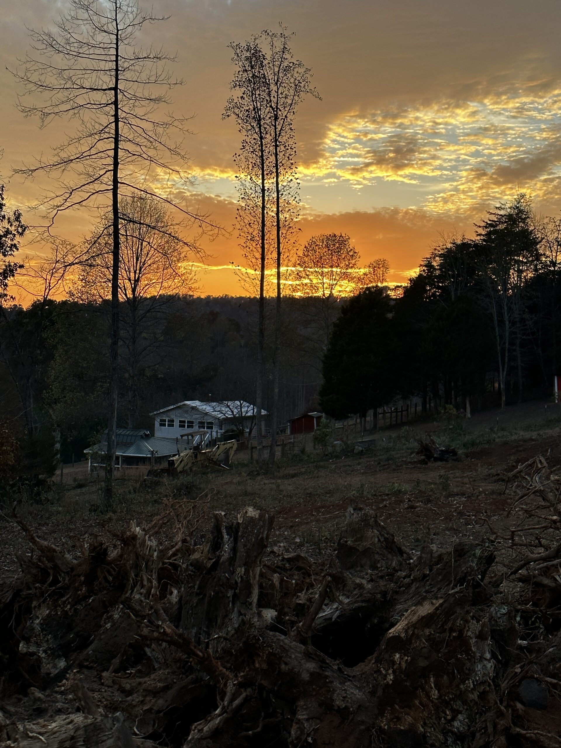 Sunset over the farm with bare trees and the barn in the distance