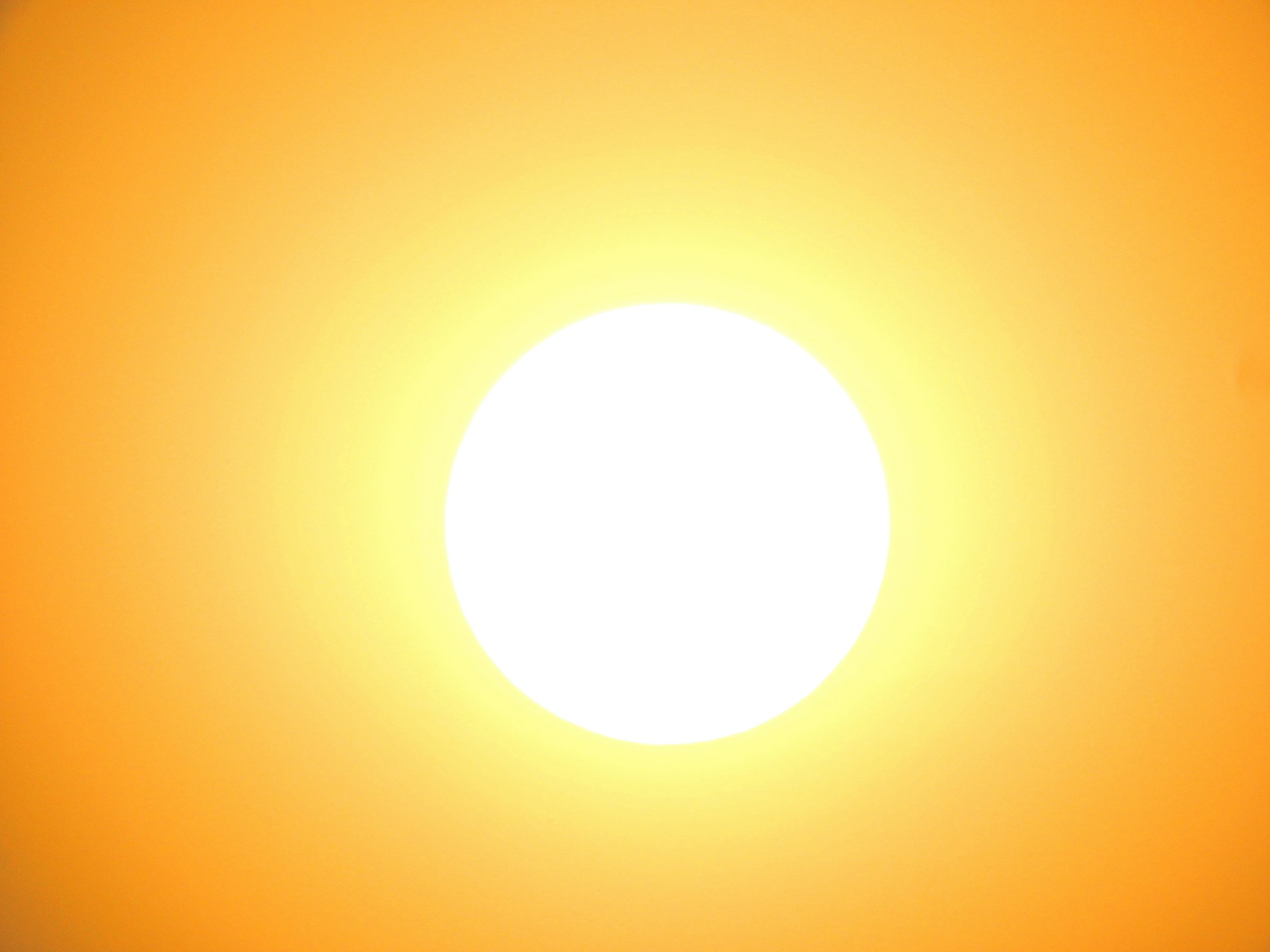 A white-hot sun burning in a cloudless amber sky during a heat wave