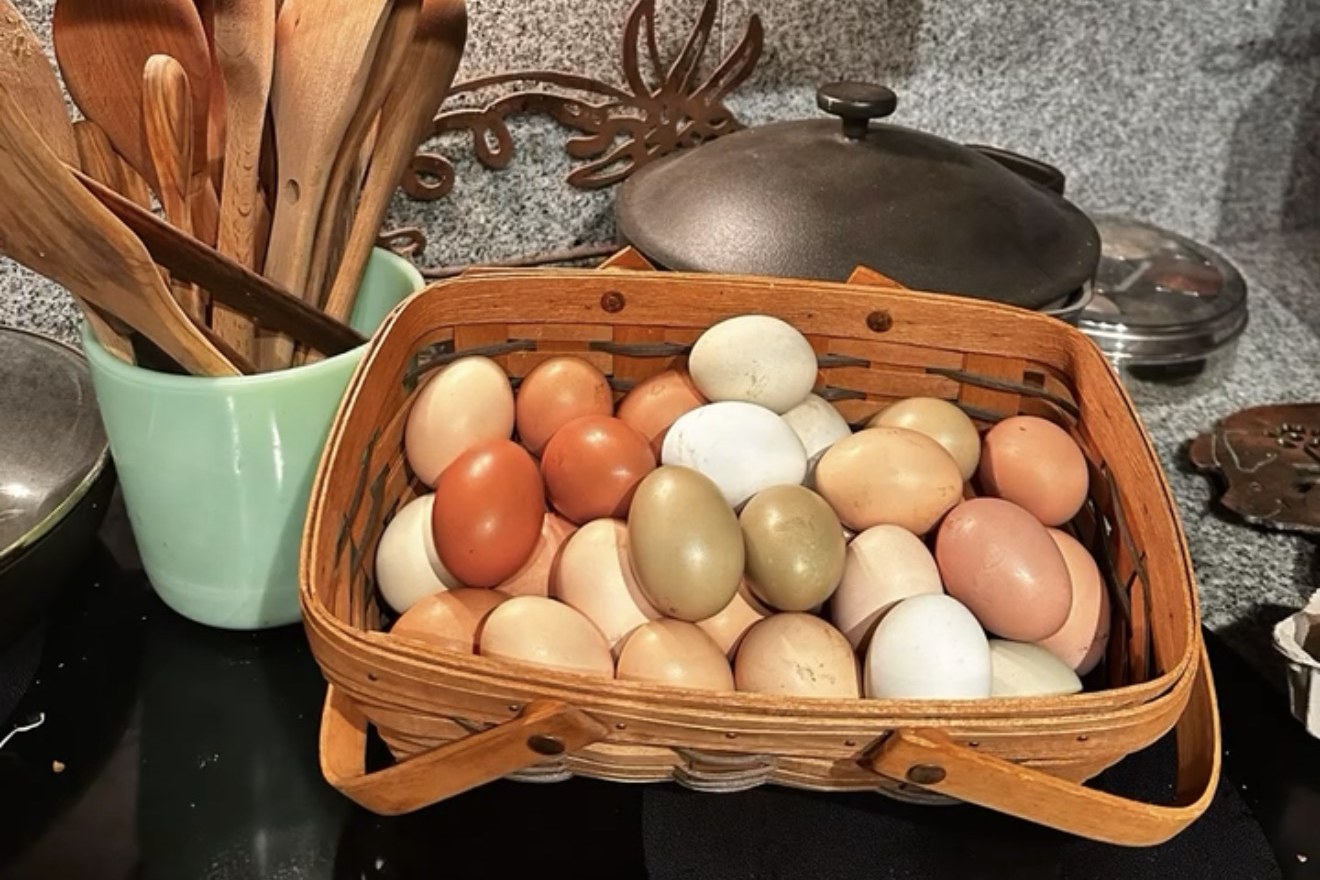 A woven basket of brown, cream, blue and olive farm-fresh eggs on the kitchen counter beside wooden spoons and a cast iron skillet