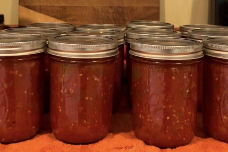 Rows of sealed pint jars of homemade farm-fresh tomato salsa lined up on an orange towel after canning